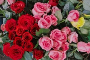A close-up of red, pink, and yellow rose bouquets with fresh dew drops on petals.