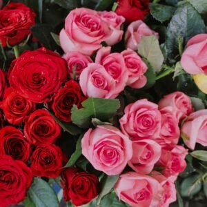 A close-up of red, pink, and yellow rose bouquets with fresh dew drops on petals.